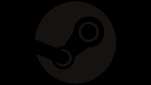 Steam